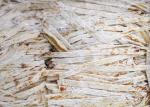 Grill Slip Squid Strip Thailand Iron Roasted Potassium Sorbate Additives