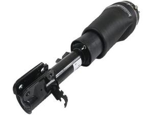 Quality RNB500550 Air Suspension Parts Air Suspension Strut wholesale