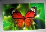 PLASTIC LENTICULAR Fashion style 3d picture mobile flip cover for iphone 3d
