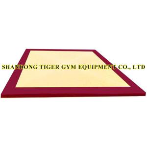 Quality Gymnastics Equipment Gymnastics Artistic Floor wholesale