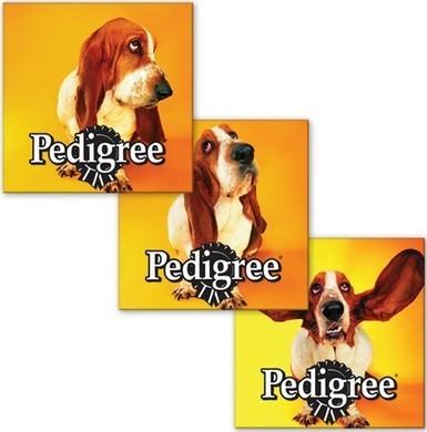 PLASTIC LENTICULAR lenticular flip 3d business cards custom lenticular business