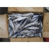 Buy cheap Scomber Japonicus Under 18 Degree 300g Fresh Frozen Mackerel from wholesalers