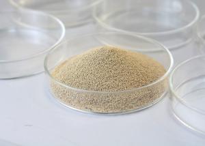 Quality Betelnut Specialized Enzyme： degrade the bitter and astringent substances wholesale