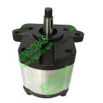 3534941M91/0510525339/0510525342/3538957M91/3538958M92 Hydraulic Pump Fits For