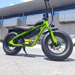 Disc Brake Electric Kids Bike for Off-road Little Fat Tire Ripper 37km/h Max
