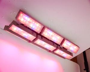 Quality led plant lighting fixture ,led lights . led grow-light ,led growin light led grass light ,led park light ,led vegetable wholesale