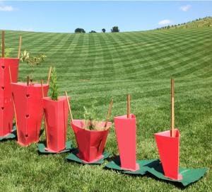 Quality Red 100% PE Corflute Plastic Tree Guards UV Resistant 2mm-12mm wholesale