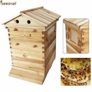 Quality Beehive Apiculture Beekeeping Equipment Automatic Self Flowing for Beekeeping wholesale