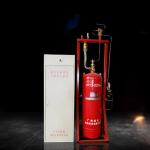 Hfc-227ea 70L FM200 Fire Fighting System GQQ70 Muniment Room