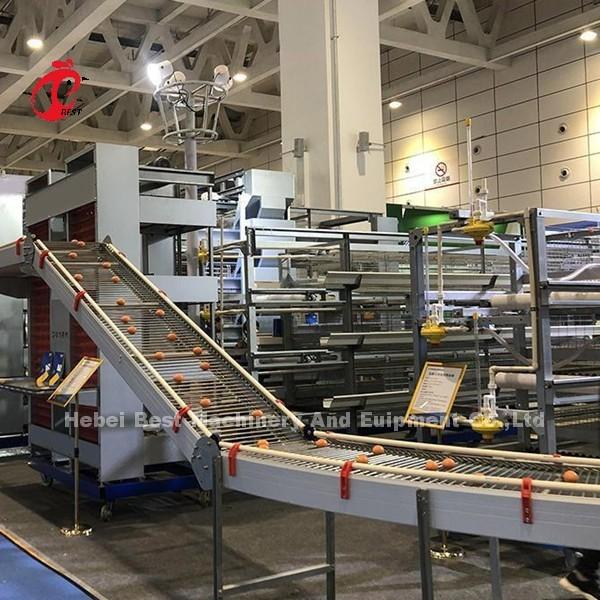 Battery Type Layer Poultry Farm Equipment With Automatic Feeding Machine 9 Tiers