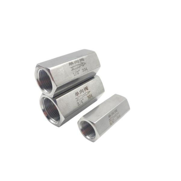 Full Bore Stainless Steel NPT/BSPT/BSPP Female Thread Check Valve Customized