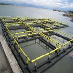 Long Life Anti UV Floating Fish Cage Safety Corrosion Resistance Less Maintenanc