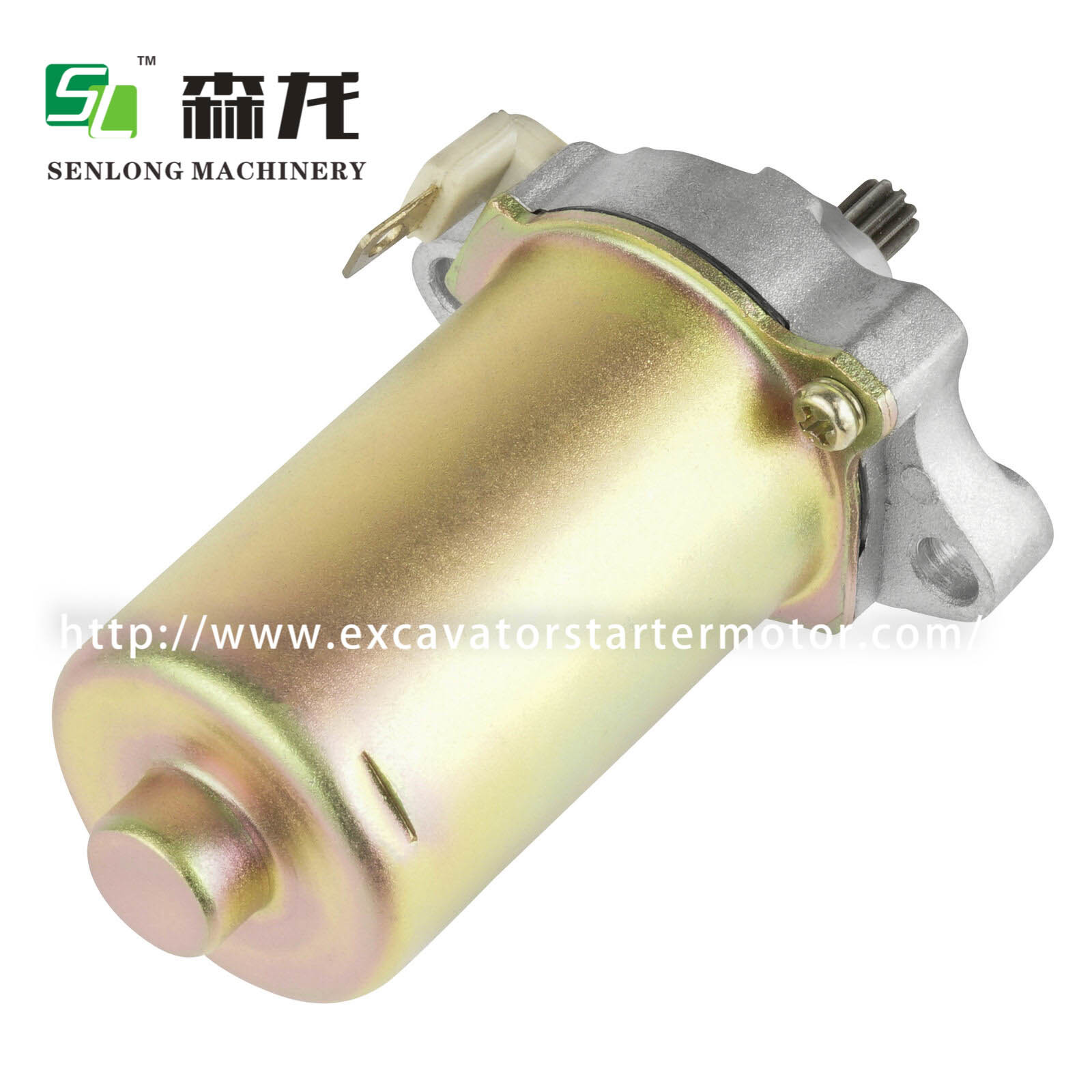 Starter Polaris ZIP50/PIAGGIO 80/LIBERTY 50/CH80 Motorcycle 12V 10T CCW 96921R 31200-GE1-712 31210-GE1-712 246390030