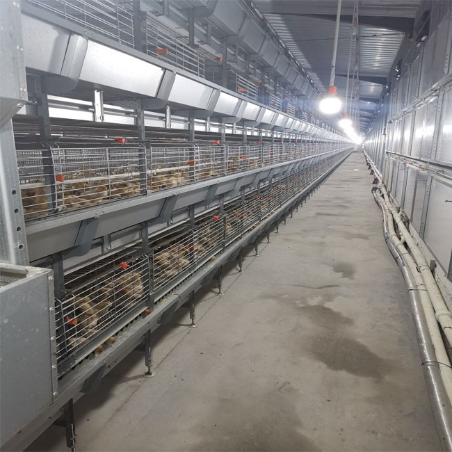 Q235 Bridge Steel Baby Chick Cage Layer Chicken Cage , SGS Manure Removing