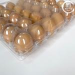 30 Hole Plastic Egg Tray Packaging Carton By Manufacturers For Secure Egg