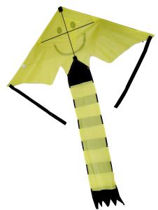Quality Children Playing 30m Line Nylon Delta Wing Kite wholesale