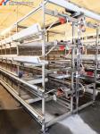 Automatic Broiler Poultry Farming Equipment Galvanized H Type Battery Chicken