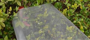 Quality Pvc Coated 18x16 Fiberglass Netting Mesh , 90g/M2 Fiberglass Screen Material wholesale