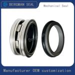 BERGMAN Replaces John Crane 2100-S 12mm-100mm G60 G4 G6 G9 G13 G16 BS Bo BP Pump