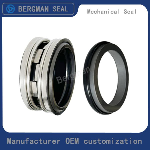 BERGMAN Replaces John Crane 2100-S 12mm-100mm G60 G4 G6 G9 G13 G16 BS Bo BP Pump