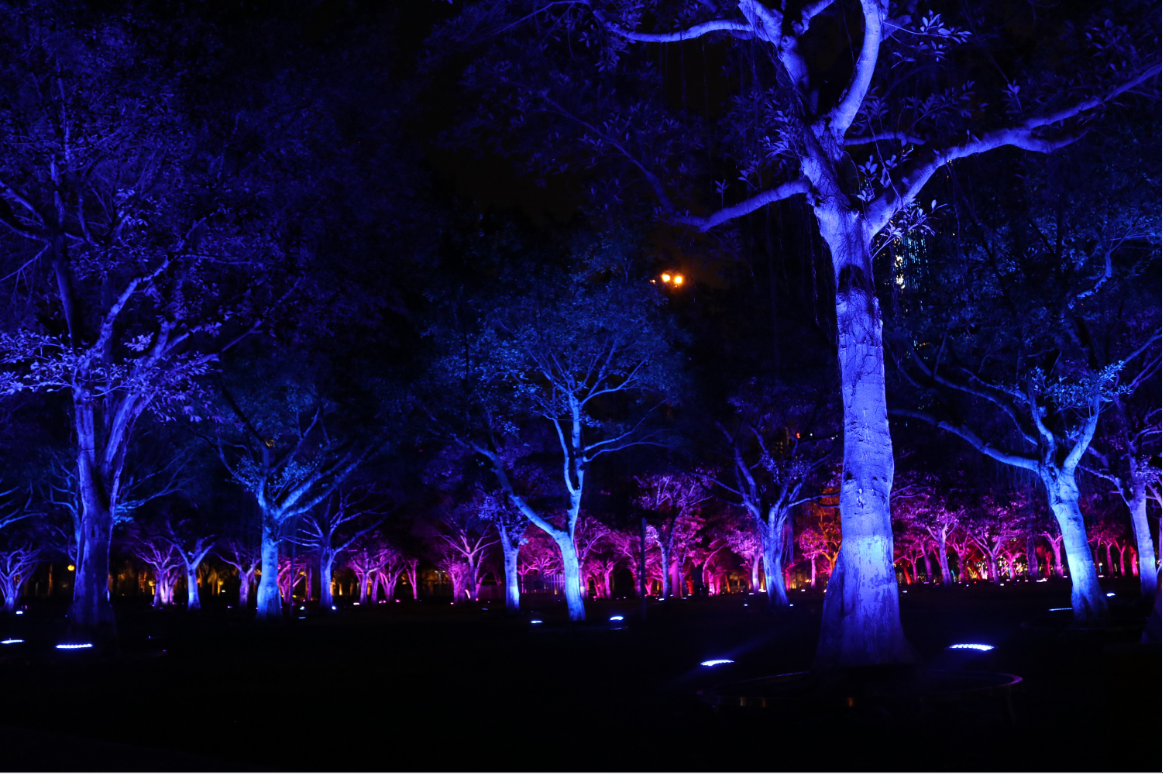 Architectural lighting IP67 outdoor DMX/RDM RGBW 36W customized for garden led tree flood light