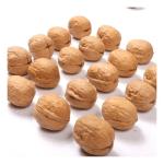 Chinese Factory bulk sale high-quality Xinjiang big walnuts in shelled and dried