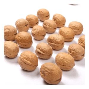 Quality Manufacturer bulk sale Xinjiang 185 walnuts in shelled and xin2/33 walnuts wholesale