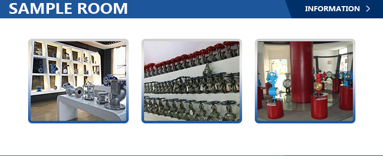 ODM Supported Q41F-16P/25P/40P Stainless Steel 304/316L Float Valve API Flanged Ball Valve