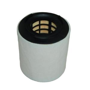 Quality 6R0129620A 6J1 Vehicles Air Filter Audi Saic Volkswagen 6R Seat wholesale