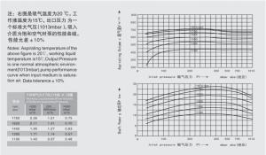 Quality High Efficiency Wet Ring Vacuum Pump Customized Color Easy Operation wholesale
