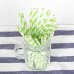 146mm Party Decoration Colorful Biodegradable Cocktail Straws