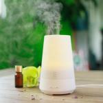 New White PP Materials Hotel 100ML Electronic Aroma Diffuser Air Humidifier