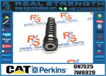 Diesel Engine Pump Plunger 6N7525 1W6541 7W6929 6N7828 1P6400 6N7527
