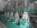 30x8x7m Combined Commercial Wheat Cleaning Milling Machine for Turkey Flour Mill