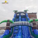 OEM Event Blue Double Lane Inflatable Slide For All Occasions