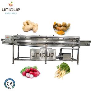 Quality High Pressure Ginger Turmeric Taro Yam Malanga Spraying Washing Machine for Cleaning wholesale