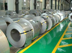 Quality Magnetic Raw Materials , 201 / 301 / 304 Stainless Steel Strips Plumbing Shower Hose wholesale
