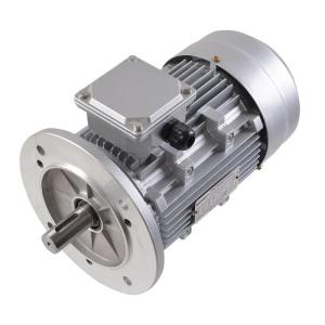 Quality 3 Phase Asynchronous Electric Motor wholesale