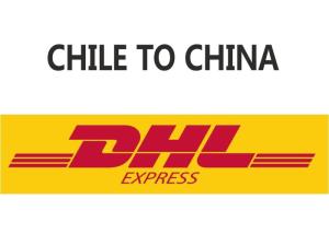 Quality Efficient Sea Freight Logistics , Deep Sea Freight Services Live Updates wholesale