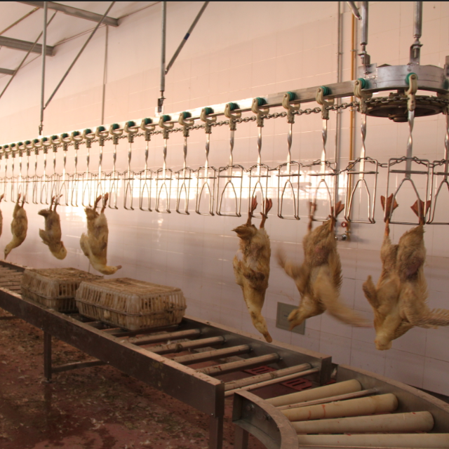 CE Approved Duck Slaughter Machine for Poultry Butcher Processing Line