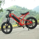 1000W 20 Inch Electric Fat Tire Bike 48V 16Ah Full Suspension Electric Bicycle
