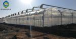 Vegetable 7ft Pe Film Greenhouse With Irrigation Eqiupment