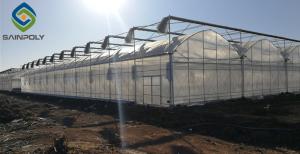 Quality Vegetable 7ft Pe Film Greenhouse With Irrigation Eqiupment wholesale