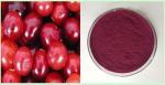 Hongkong Imported Cranberry extract