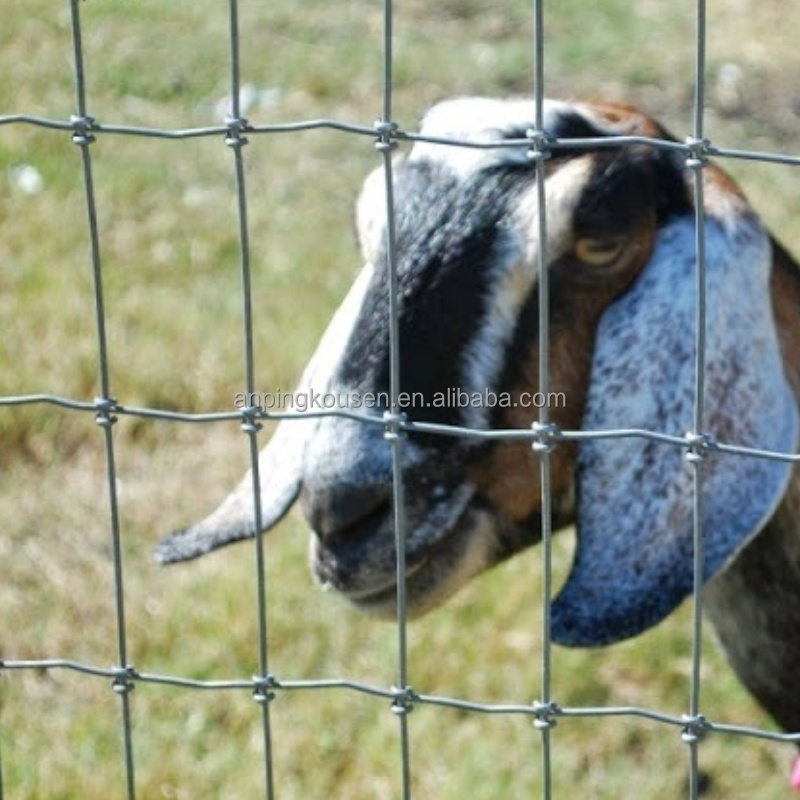 Waterproof Galvanized High Tensile Livestock Fence for Grassland and Livestock Farm