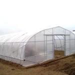 Tropical Agricultural Single Span Tunnel Plastic Film Polyethylene Film