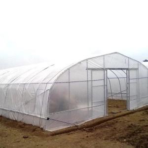 Quality UV Resistant Single Span 200 Micron Plastic Film Polyethylene Film Greenhouse wholesale