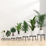 Metal Flower Pot Stand Black Steel Vintage Powder Coating Plant Pots Planters