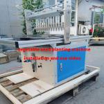 Working Efficiency Seedling Machine for Vegetables and Flowers Seed Planting