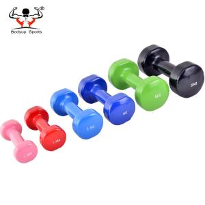 Quality Women Power Training Fitness Equipment Dumbbells Customized Color wholesale